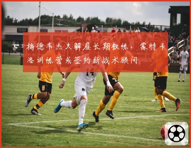 梅德韦杰夫解雇长期教练，蒙特卡洛训练营或签约新战术顾问